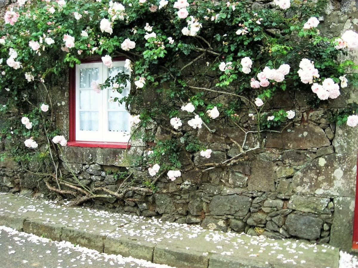 Casa Da Roseira Βίλα Nordeste  Εξωτερικό φωτογραφία